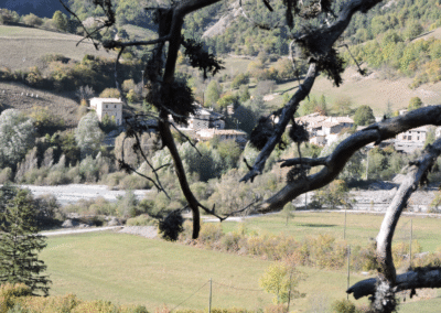 Blégiers et son église vus à travers les branches, au-delà d’une prairie.