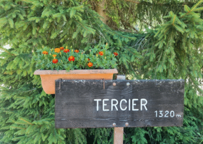 Panneau « Tercier, 1 320 m » installé dans une jardinière fleurie.