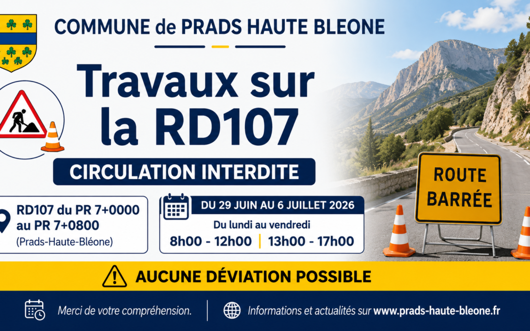 Travaux RD107