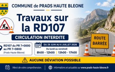 Travaux RD107